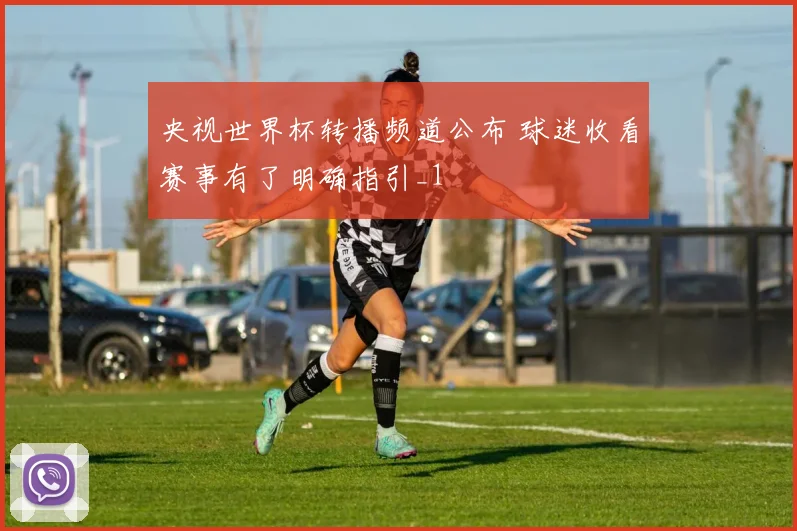 央视世界杯转播频道公布 球迷收看赛事有了明确指引_1