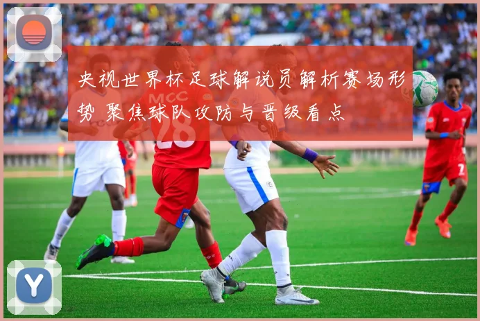 央视世界杯足球解说员解析赛场形势 聚焦球队攻防与晋级看点
