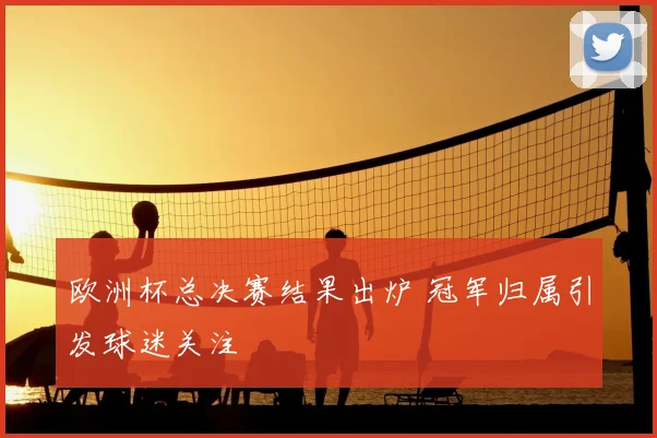 欧洲杯总决赛结果出炉 冠军归属引发球迷关注